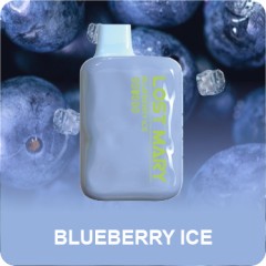 Электронная сигарета LOST MARY OS4000 Blueberry Ice (Черничный Лёд)